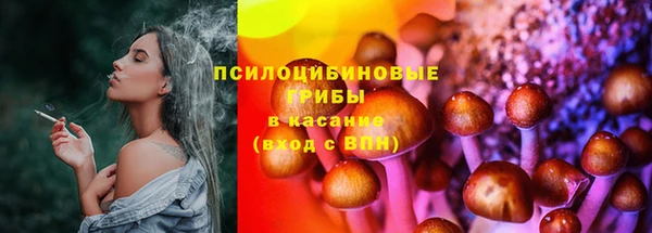 меф Арсеньев