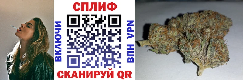 где найти наркотики  Ивдель  Канабис Ganja 